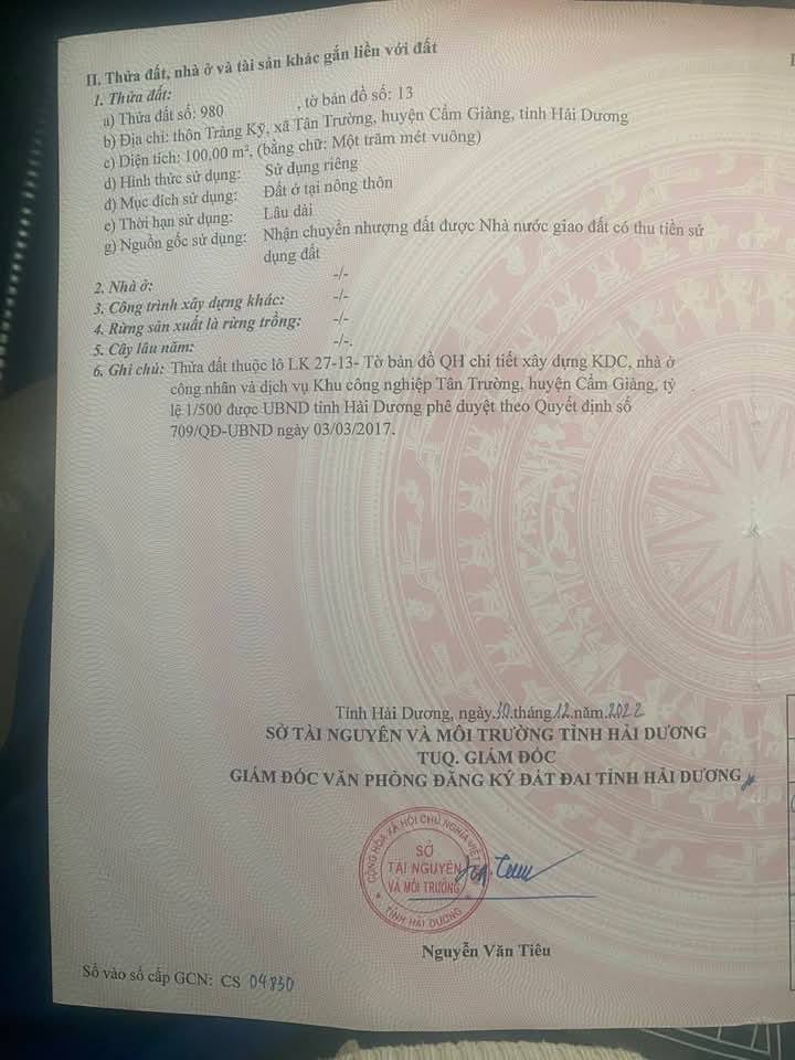 Đất nền Tân Trường, Cẩm Giàng 100m² - Tiềm năng tăng giá vượt trội!