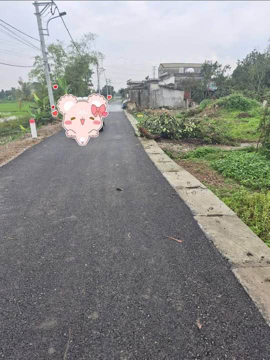 Đất nền Liêm Túc 110m² giá 1.2 tỷ - Sổ đỏ chính chủ, tiềm năng tăng giá!