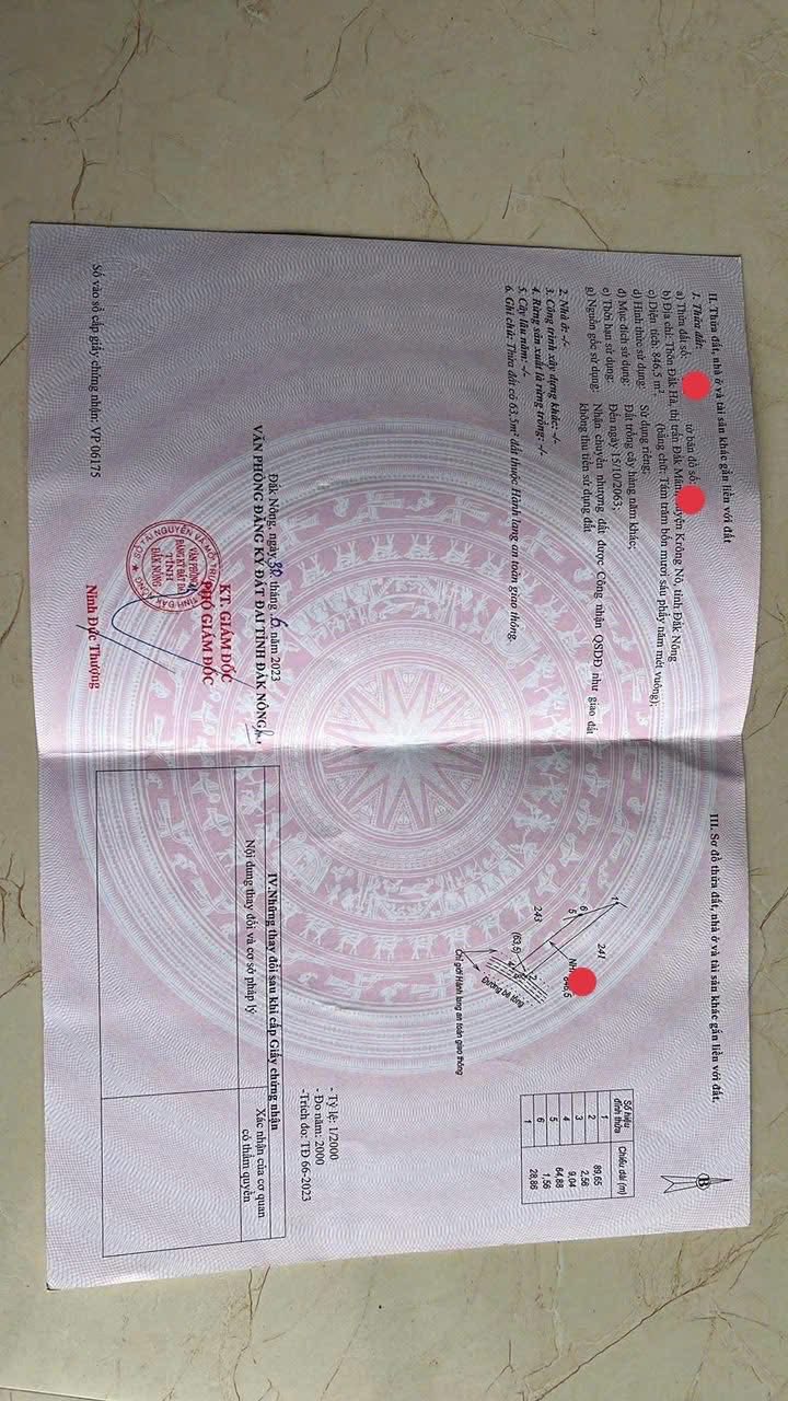 Đất Nền 968m² Krông Nô, Đắk Nông - Bán Gấp Giá 450 Triệu Bao Phí