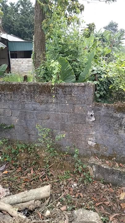 Đất nền Xã Nghĩa Hưng, Nghĩa Đàn 1710m² - Sổ đỏ chính chủ!