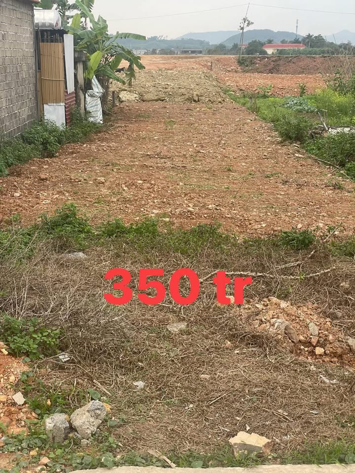 Đất nền Thị trấn Nghĩa Đàn 192m² giá 350 triệu - Sổ hồng chính chủ!