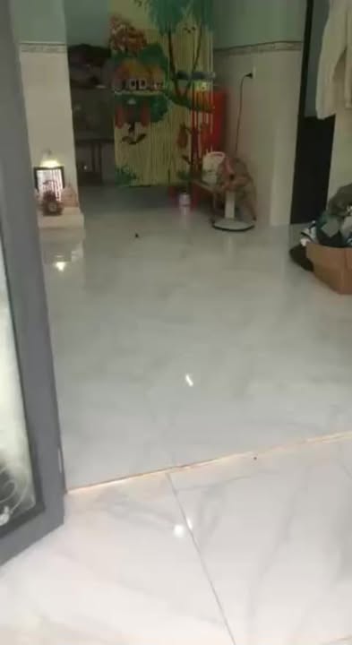 Nhà Sổ Đồng Sở Hữu Long Hải 64m² - Giá 750 Triệu, Sẵn Sàng Ở Ngay