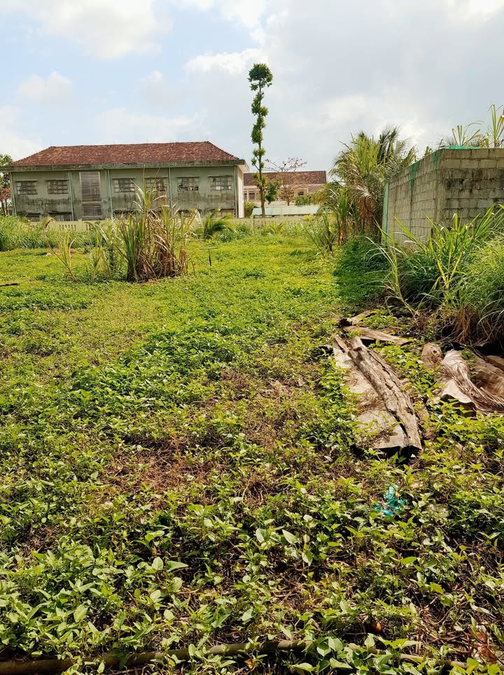 Đất nền Hoài Sơn, Bình Định - 225m² thổ cư, gần THCS Hoài Sơn - Giá 5xx triệu