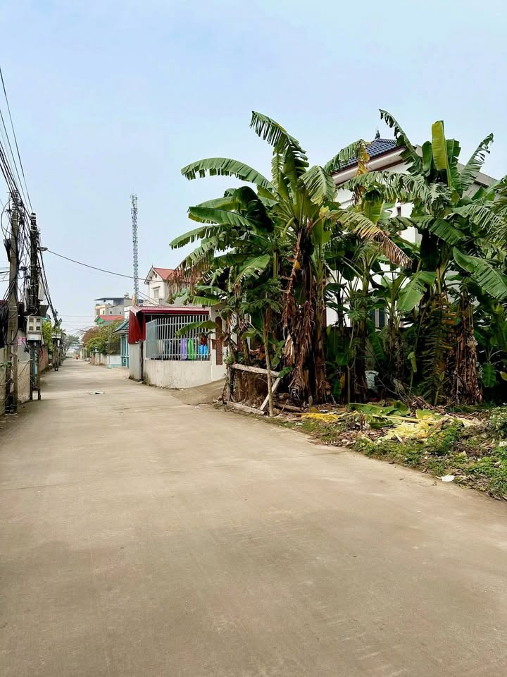 Đất nền Châu Minh Hiệp Hòa 132m² Sổ đỏ chính chủ - Kinh doanh ngay!