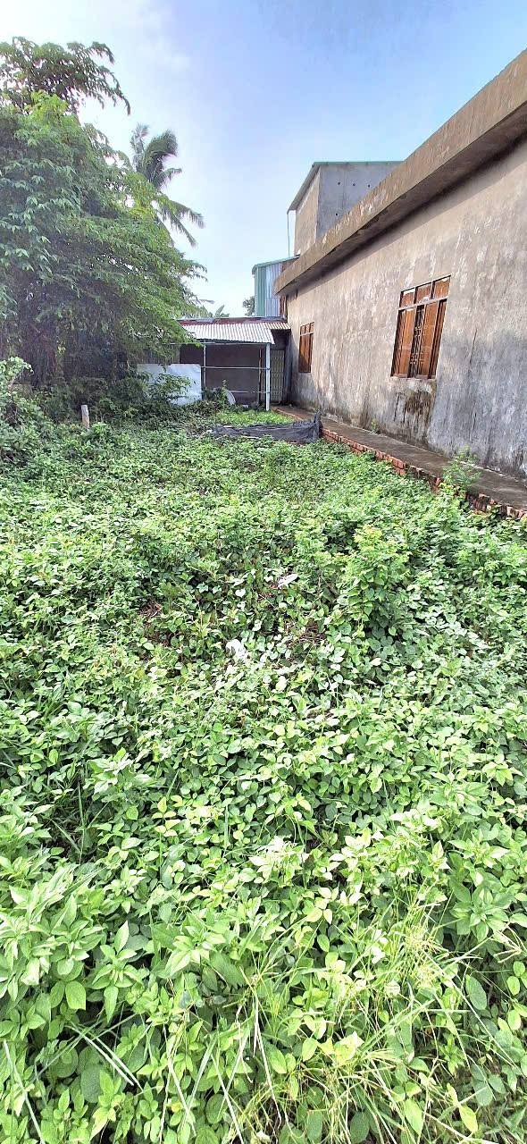 Bán Nền 100m² Đường Quang Trung, Rạch Giá - Sổ Hồng Thổ Cư, Ô Tô Tận Nơi