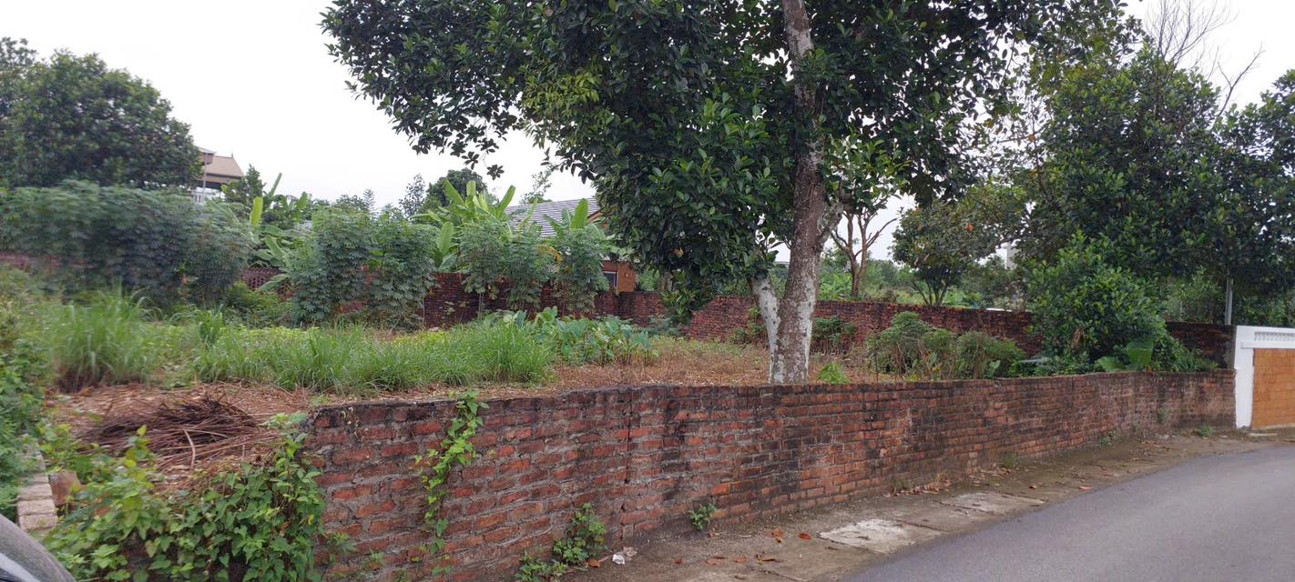 Đất nền Trại Láng, Cổ Đông 350m² - Sổ đỏ, MT rộng, kinh doanh tốt