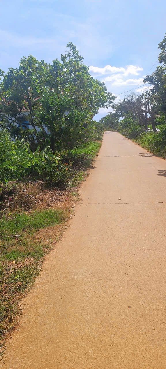 Đất Vườn Lâm Hà - 2800m² Sổ Sẵn, Giá 650 Triệu, Trung Tâm Tân Hà