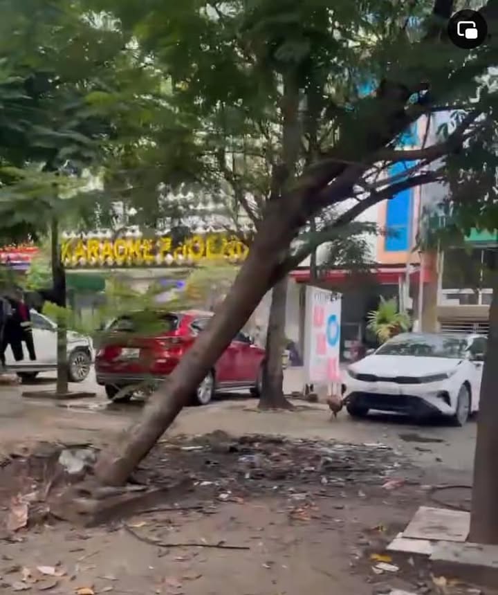 Nhà Phố Ấp Đồn, Hoàn Sơn 100m² giá 4 tỷ - Đầu tư sinh lời!