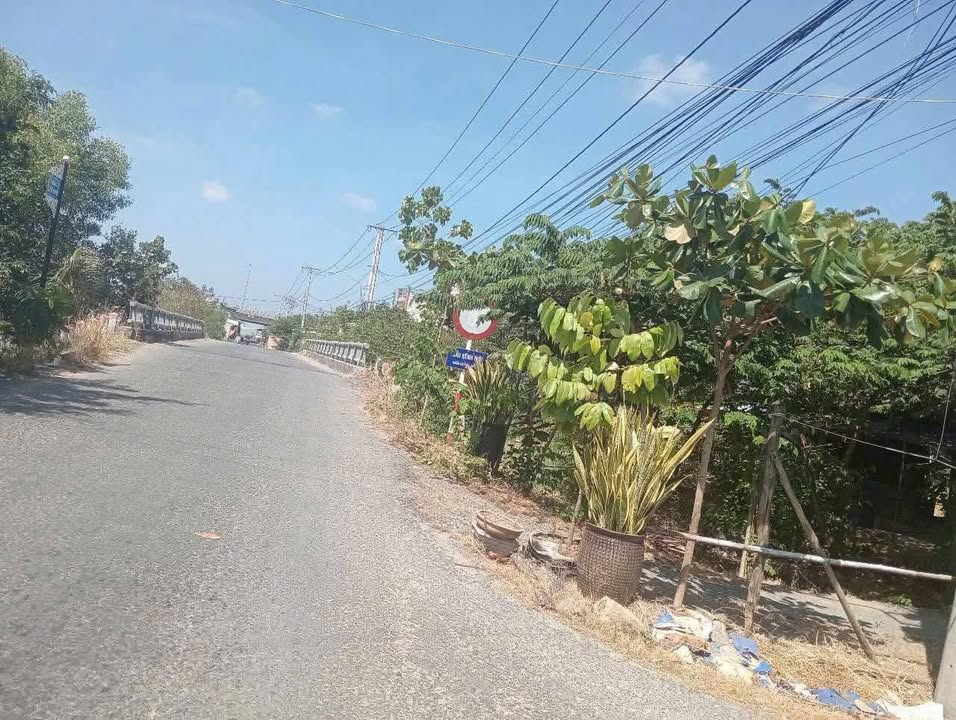 Bán Đất Cà Mau 1181m² Sổ Đỏ Chính Chủ - Lập Vườn Trung Tâm