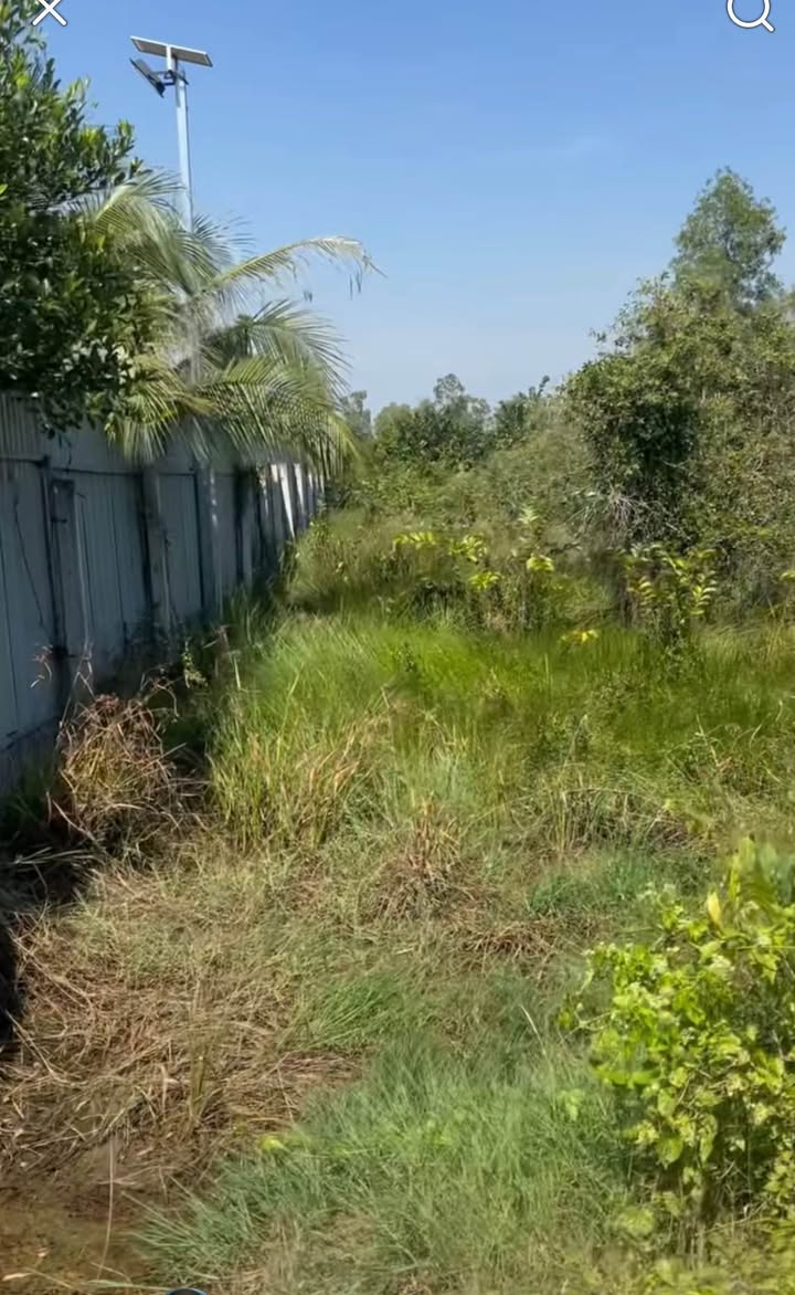 Đất Vườn Long An 1250m² - Mặt Tiền Bê Tông 6m, Gần Chợ Đức Hòa