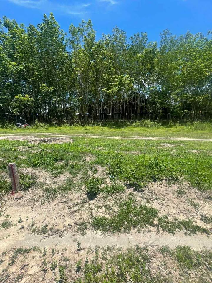 Đất thổ cư 107m² Phường Nguyễn Trãi, Kon Tum - Sổ đỏ sẵn sàng giao dịch