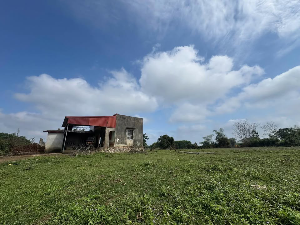 Đất Thọ Xuân 450m² - 2 Mặt Tiền, Giá 2xx Triệu, View Đồng Thoáng Đãng