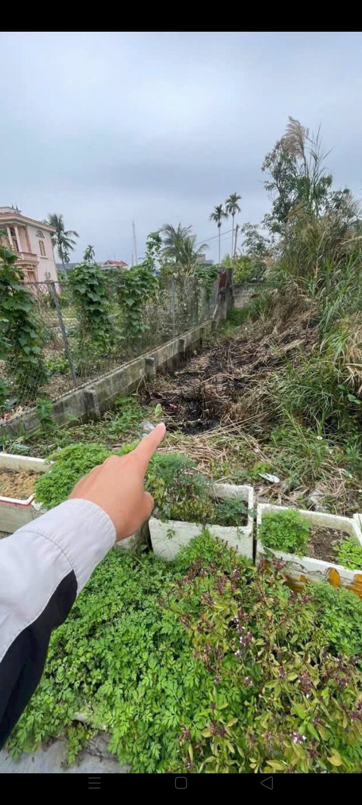 Đất nền An Dương Hải Phòng 64.4m² - Tiềm năng tăng giá vượt trội!