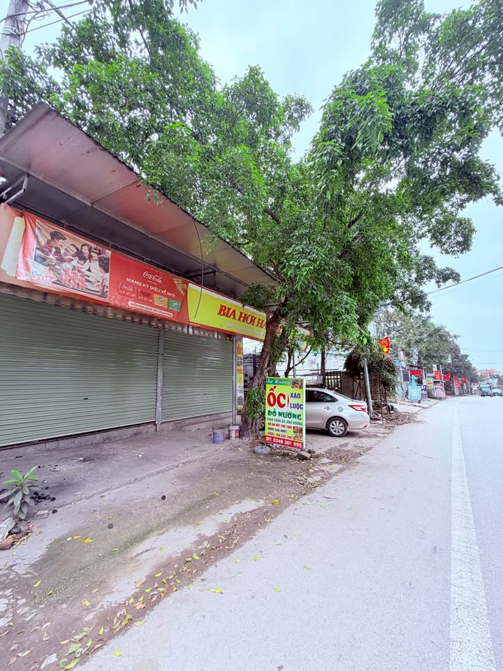 Đất nền Đại Đình, Tam Đảo 460m² - Tiềm năng tăng giá vượt trội!