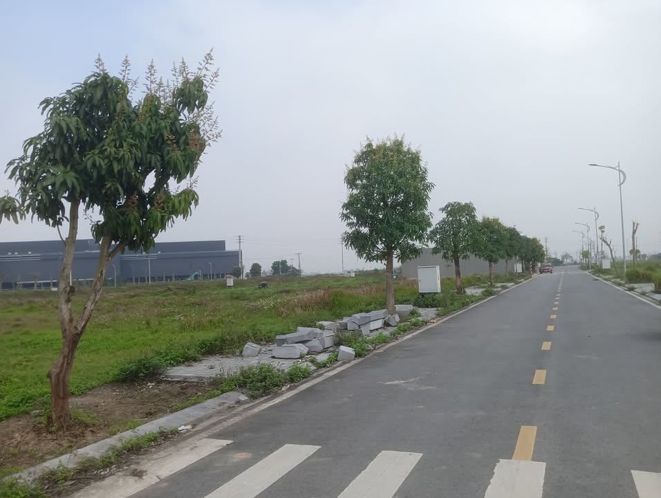 Đất nền KĐT Tứ Trưng 120m² - Sổ đỏ chính chủ, vị trí vàng gần góc