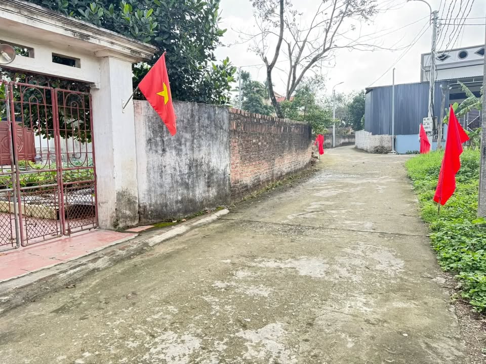 Đất nền Kim Long Tam Dương 100m² giá 7xx triệu - Đường to ô tô