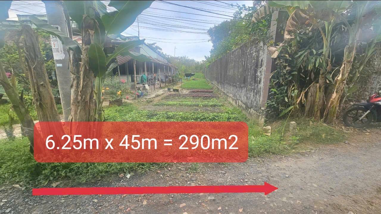 Đất vườn Thới An Đông 290m² 1,305 tỷ - Sinh thái xanh