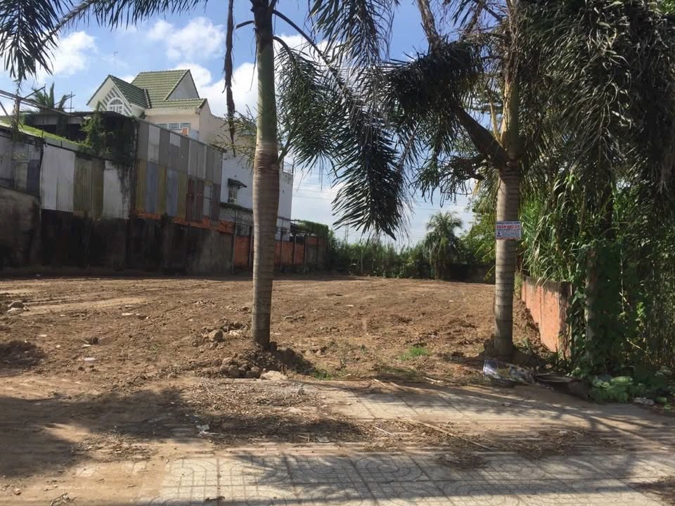 Đất nền Tôn Đức Thắng, Cần Thơ 9040m² - Pháp lý rõ ràng