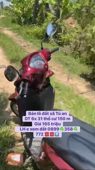 Bán đất Xã Tú An, Gia Lai 186m² - Giá 165 triệu, Sổ đỏ sẵn sàng