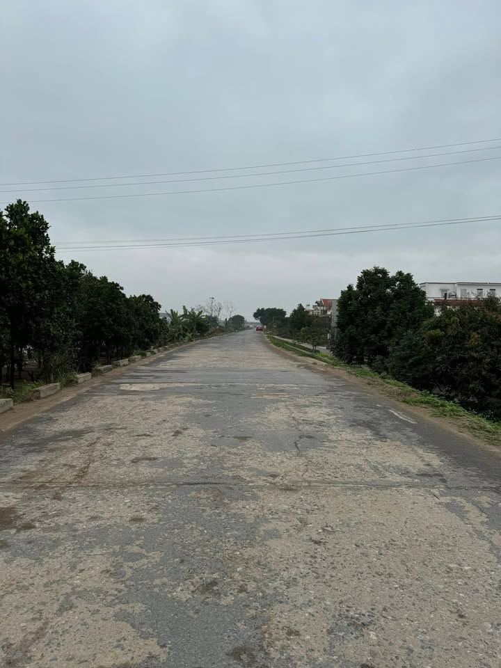 Đất Mặt Đê Hoàng Diệu, TP Thái Bình 60m² - Sổ Đỏ Sẵn Sàng