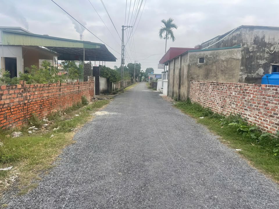 Đất nền Thái Thụy, Thái Bình: 150m² sẵn sổ, ô tô vào đất, giá chỉ 4xx triệu