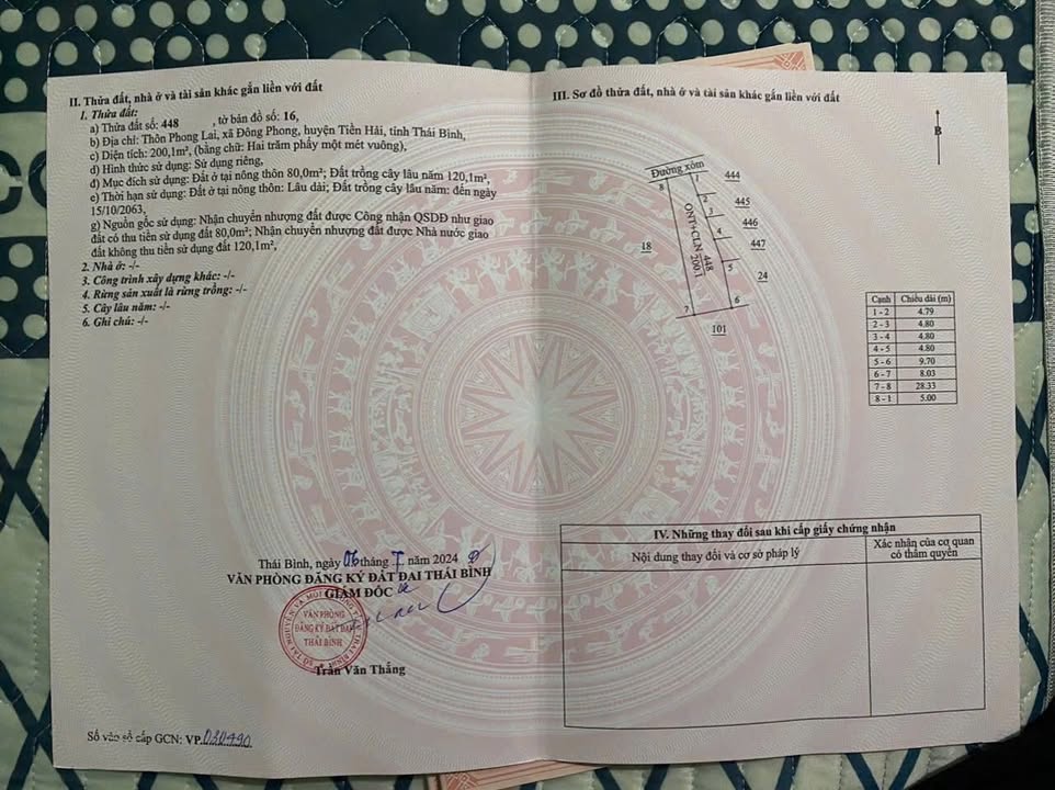 Đất nền Đông Trà Tiền Hải 200m² - Đường to ô tô, sổ đỏ sẵn sàng!