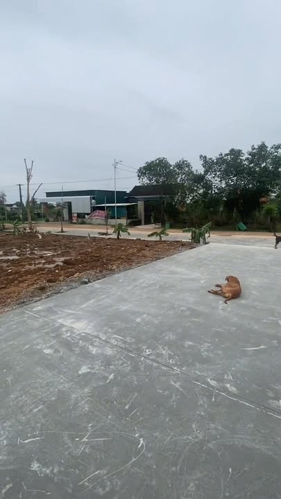 Bán đất Thôn 9 Quỳnh Tam 375m² giá 800 triệu - Sổ hồng sẵn, đầu tư cực tốt!