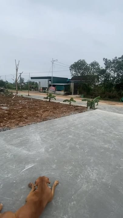 Đất nền Quỳnh Tam Quỳnh Lưu 375m² giá 800 triệu - Sổ hồng sẵn!