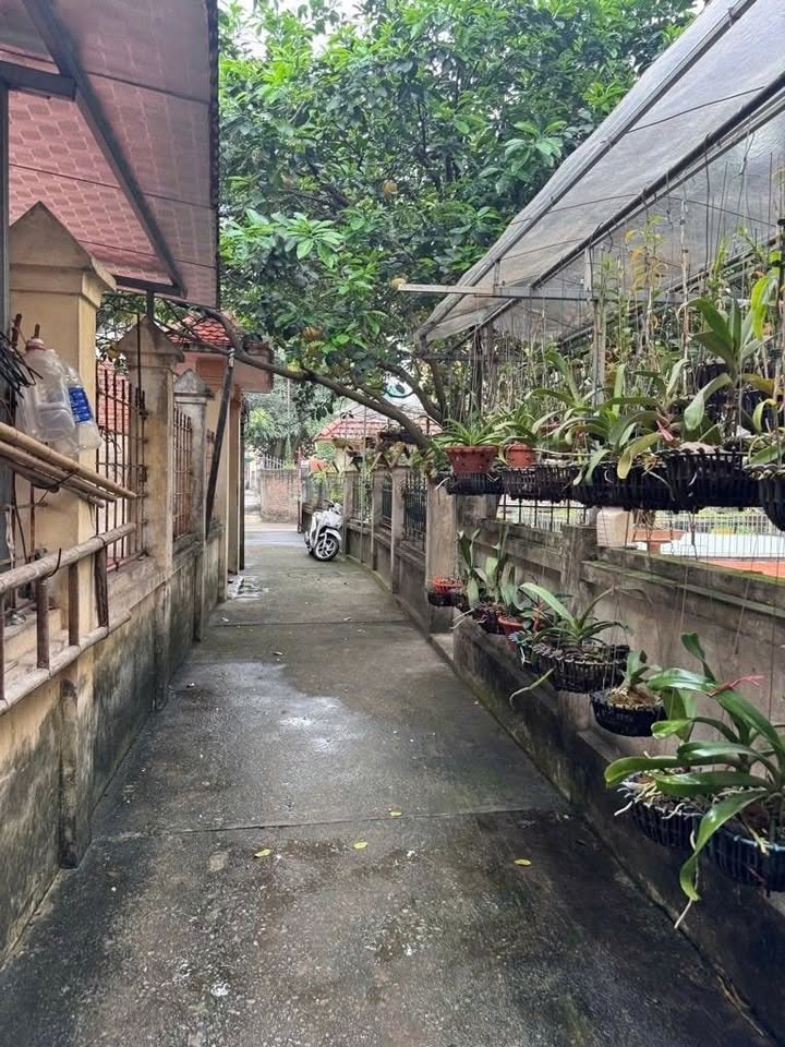 Bán đất 90m² Thanh Lân, Hoàng Mai - Ô tô đỗ cửa, Sổ đỏ sẵn sàng