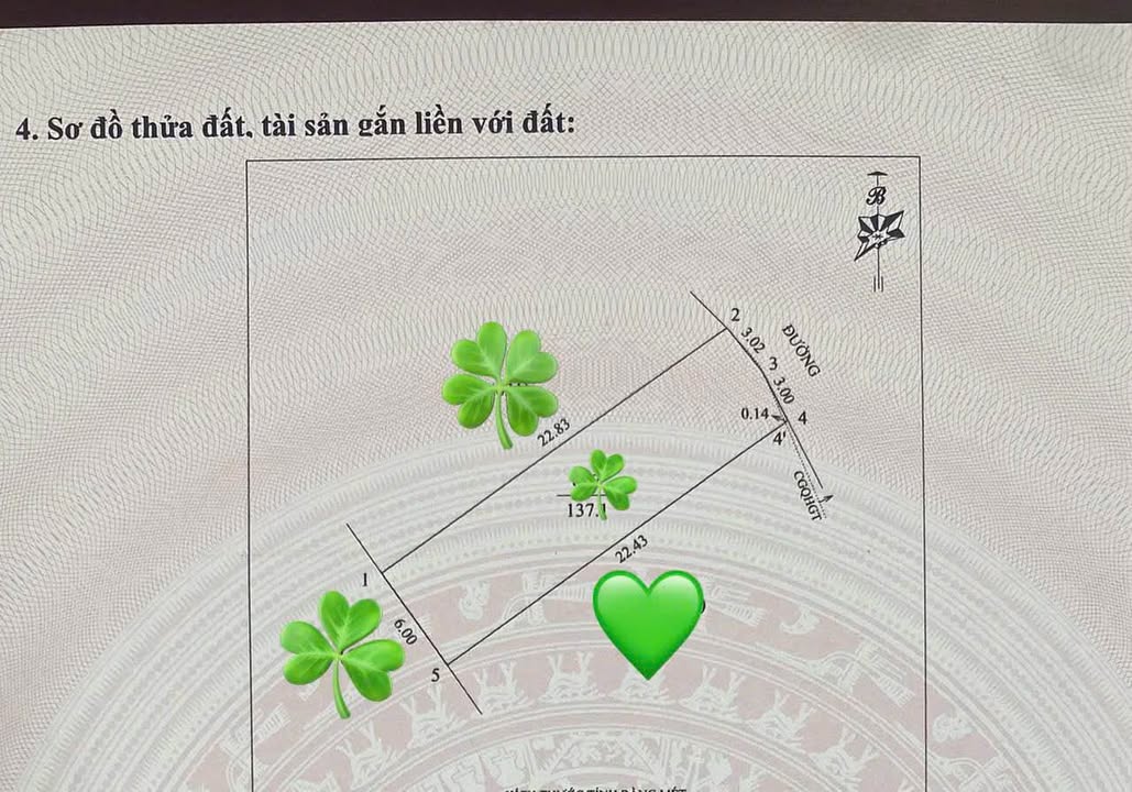 Đất nền Xóm Mỹ Hạ, Hưng Lộc 137m² - Tiềm năng tăng giá!