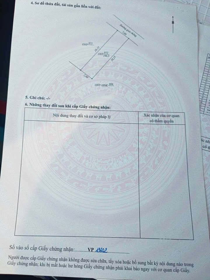 Đất nền Lý Trạch Bố Trạch 196m² giá 6xx triệu - Sổ đỏ chính chủ