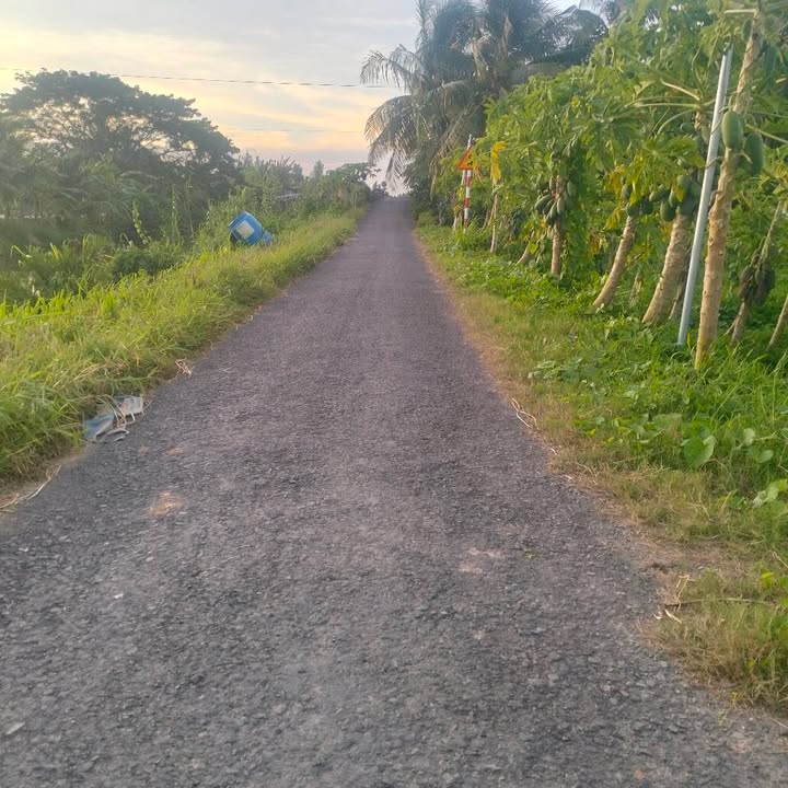 Bán Gấp 10.000m² Đất Vườn Mặt Tiền Kênh Lớn, Càng Long, Trà Vinh - Chỉ 1.8 Tỷ