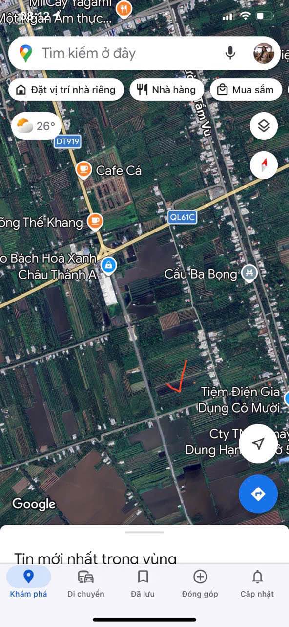 Bán Đất Vườn Sầu Riêng 5352.7m² Lộ Nhựa Lớn Châu Thành A, Hậu Giang - Giá Tốt