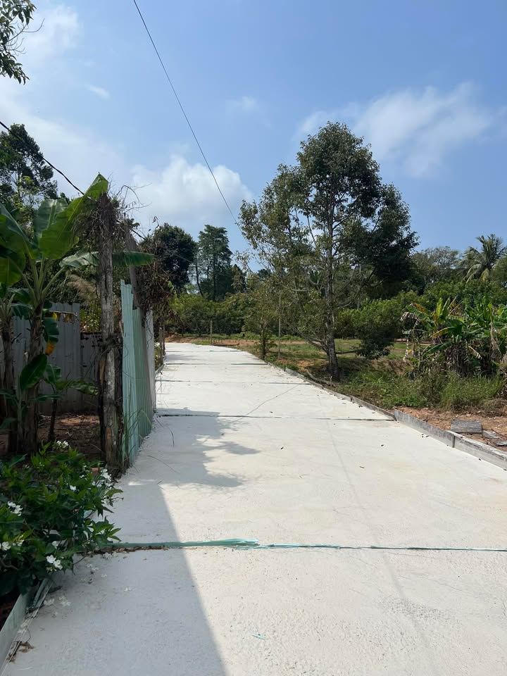 Bán Đất Cửa Lấp Phú Quốc 10.800m² - Sổ Đỏ Chính Chủ - Tiềm Năng Nghỉ Dưỡng!