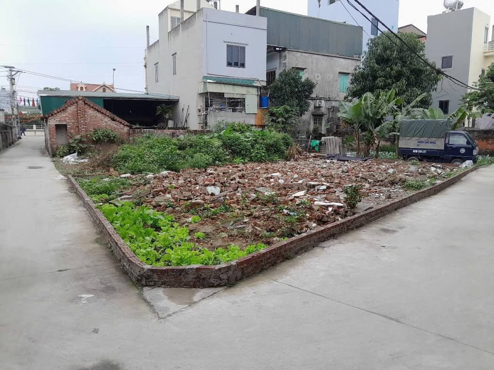 Đất nền Phượng Mỹ, Tam Hưng 121m² - Sổ đỏ chính chủ, đường ô tô thông