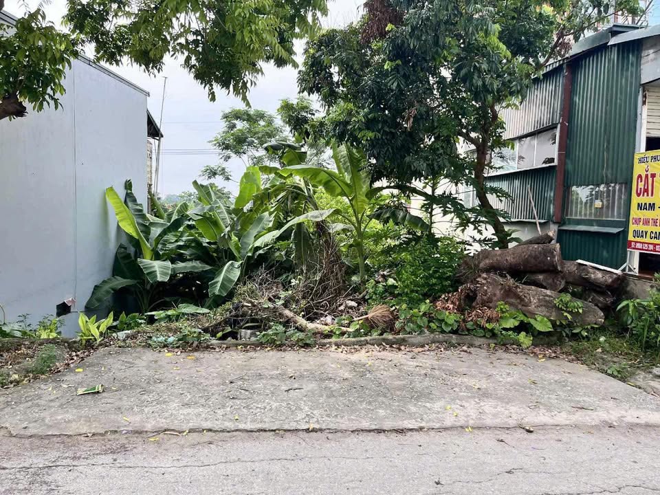 Đất Mặt Đường Đê Hòa Phú - Chương Mỹ 82m² Kinh Doanh Đa Ngành - Giá 2.x Tỷ