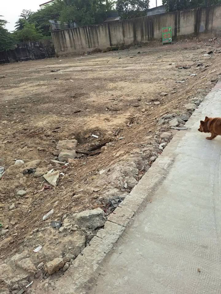 Bán Đất Thổ Cư Hóc Môn 88m², Sổ Hồng Riêng, Gần Cầu Dừa - 3.75 Tỷ