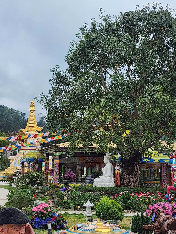 Đất nền Kiến An 43m² - Sổ hồng chính chủ, đầu ngã 5