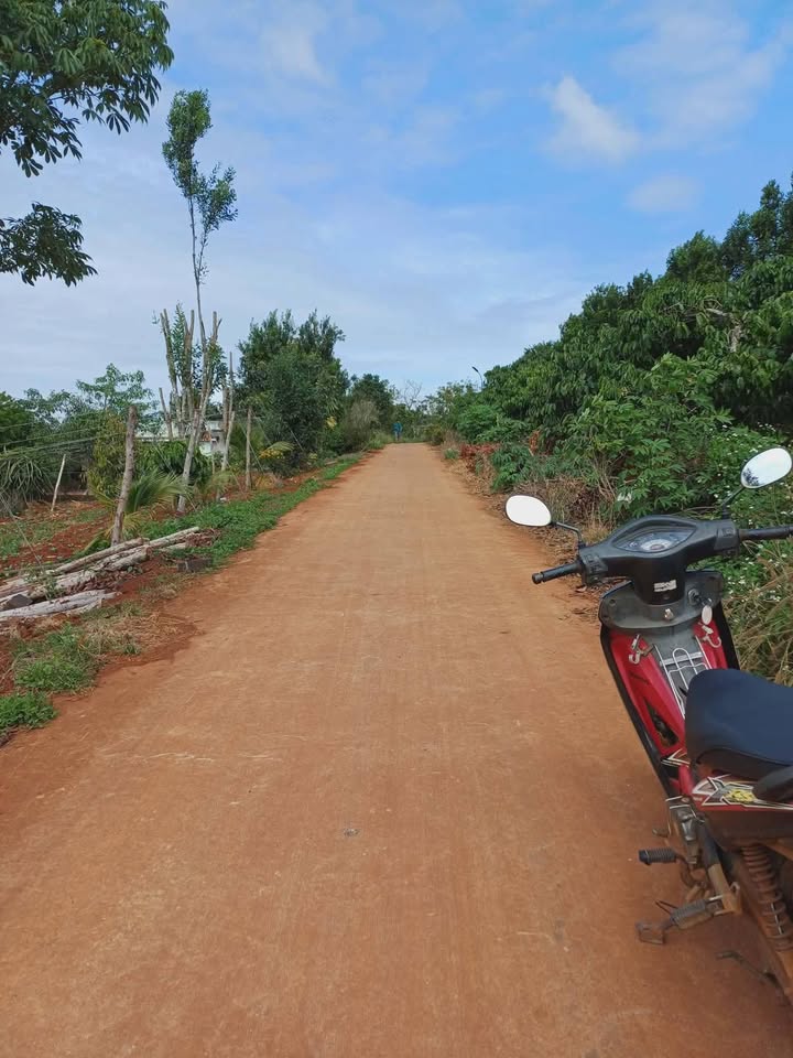 Đất nền Đức Thượng 684m² - Tiềm năng tăng giá vượt trội!