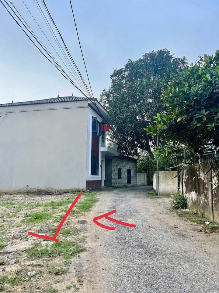 Bán Đất Hưng Lộc 55.4m² - Ngõ Hoàng Tá Thốn - Giá 1 Tỷ Tốt