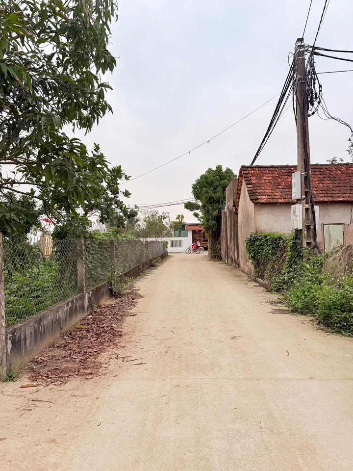 Đất Nghi Trường 115m² giá 9xx triệu - Tiềm năng tăng giá!