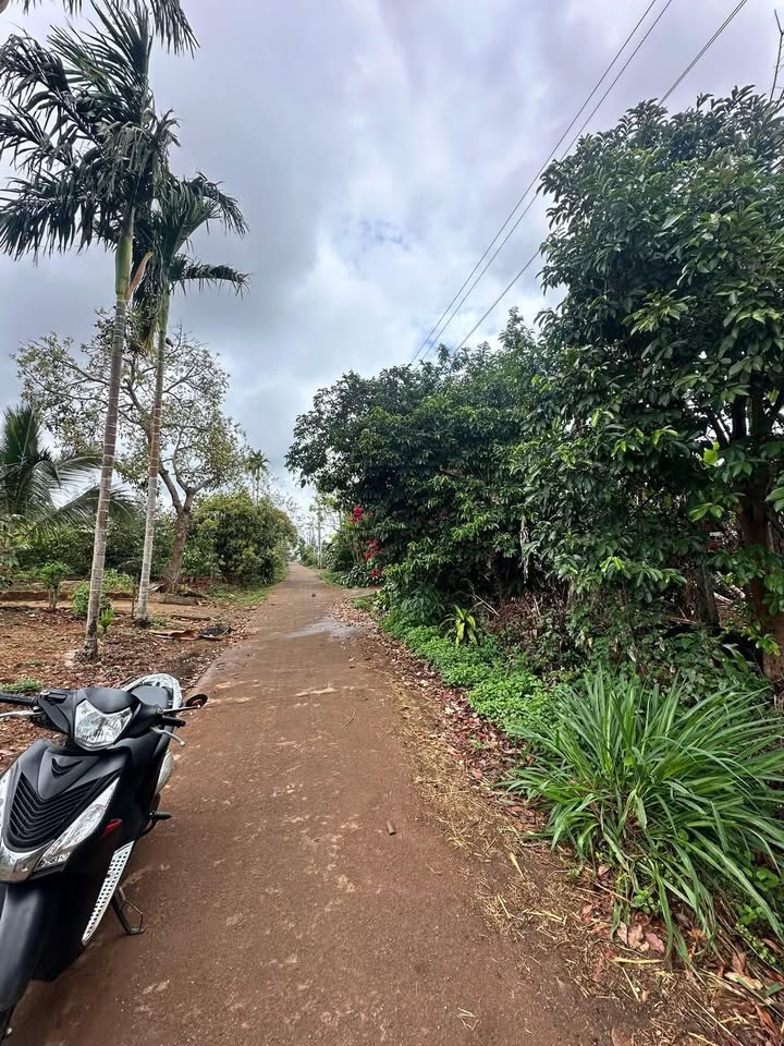 Đất nền Thôn 1 Dliyang 740m² giá 1.6 tỷ - Sổ đỏ chính chủ