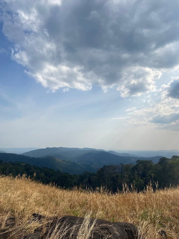 Đất nền Quốc lộ 14 Chư Pưh 2ha - Giá đầu tư tốt!