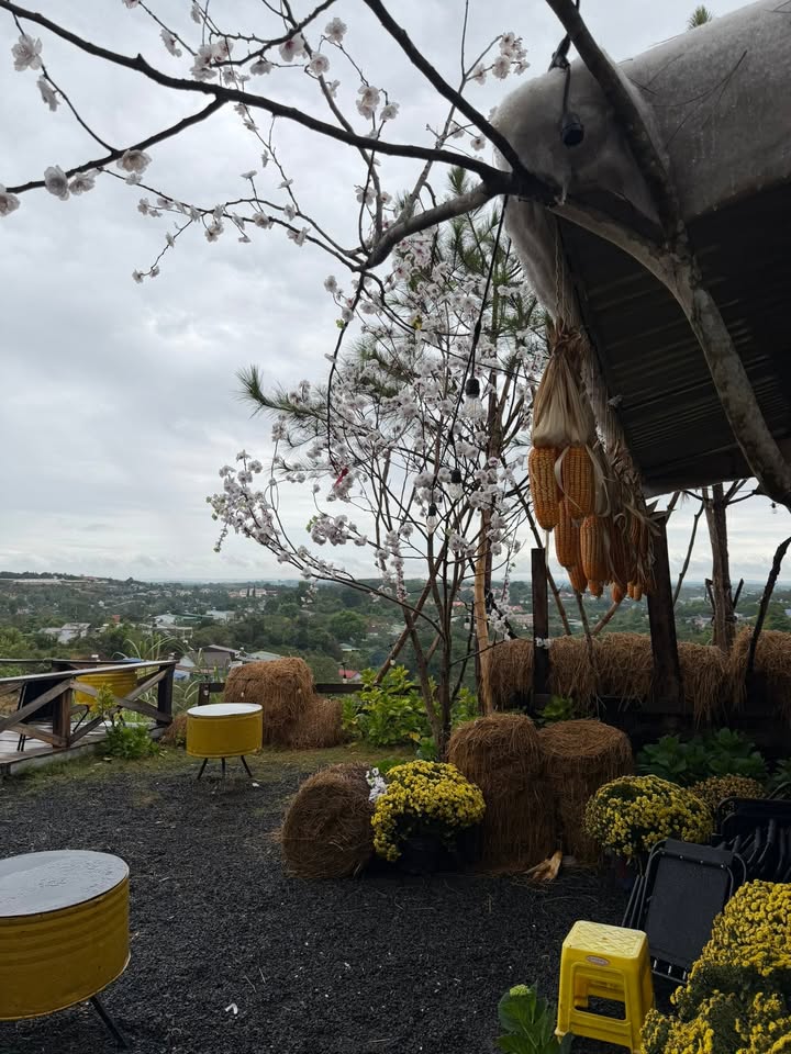 Đất Nền Mặt Tiền Kiến Đức, Lâm Đồng - 1000m² Giá Tốt