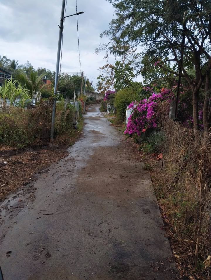 Đất Nền Phân Lô Chợ Đoàn Kết, Buôn Ma Thuột - 675m² - Chỉ 1.65 Tỷ