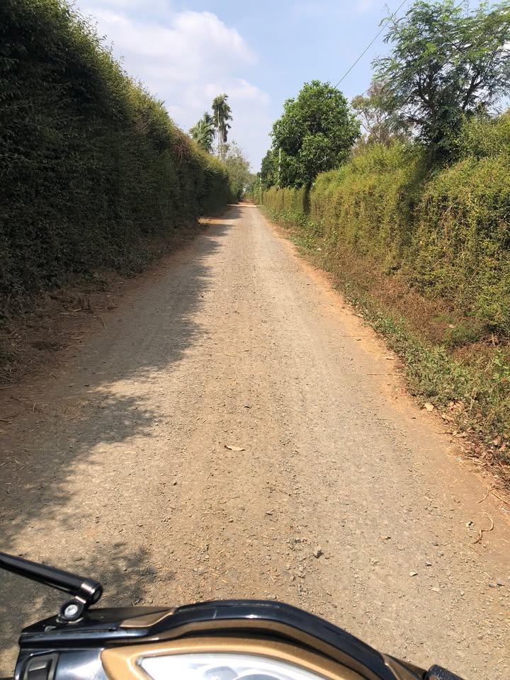 Đất vườn 2.1ha Cư Suê, Buôn Ma Thuột 8.5 tỷ - Tiềm năng tăng giá vượt trội!