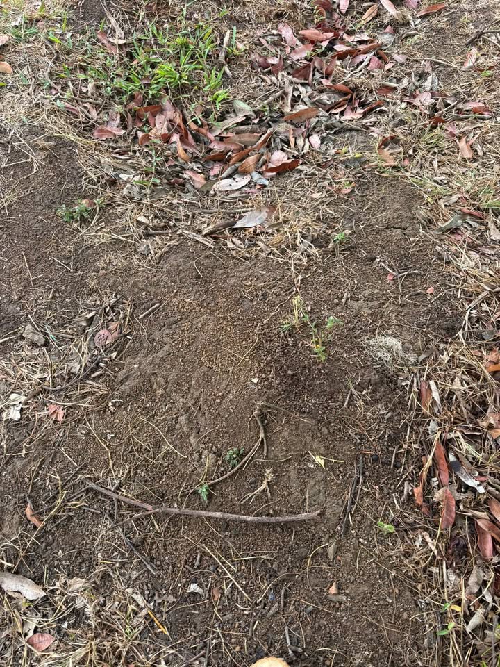 Đất Farm 15000m² Ea Rốk, Đắk Lắk - Sẵn Sàng Đầu Tư Giá Tốt