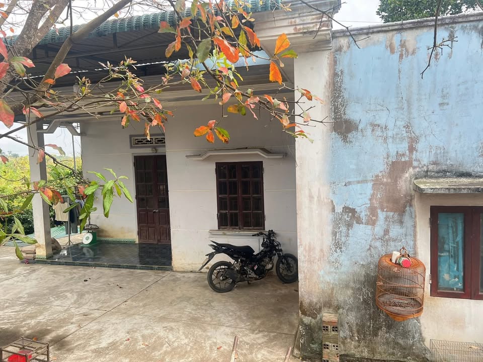 Bán Gấp Farm Đẹp 4000m² Đắk Lắk - Sẵn Sàng Về Ở Ngay!