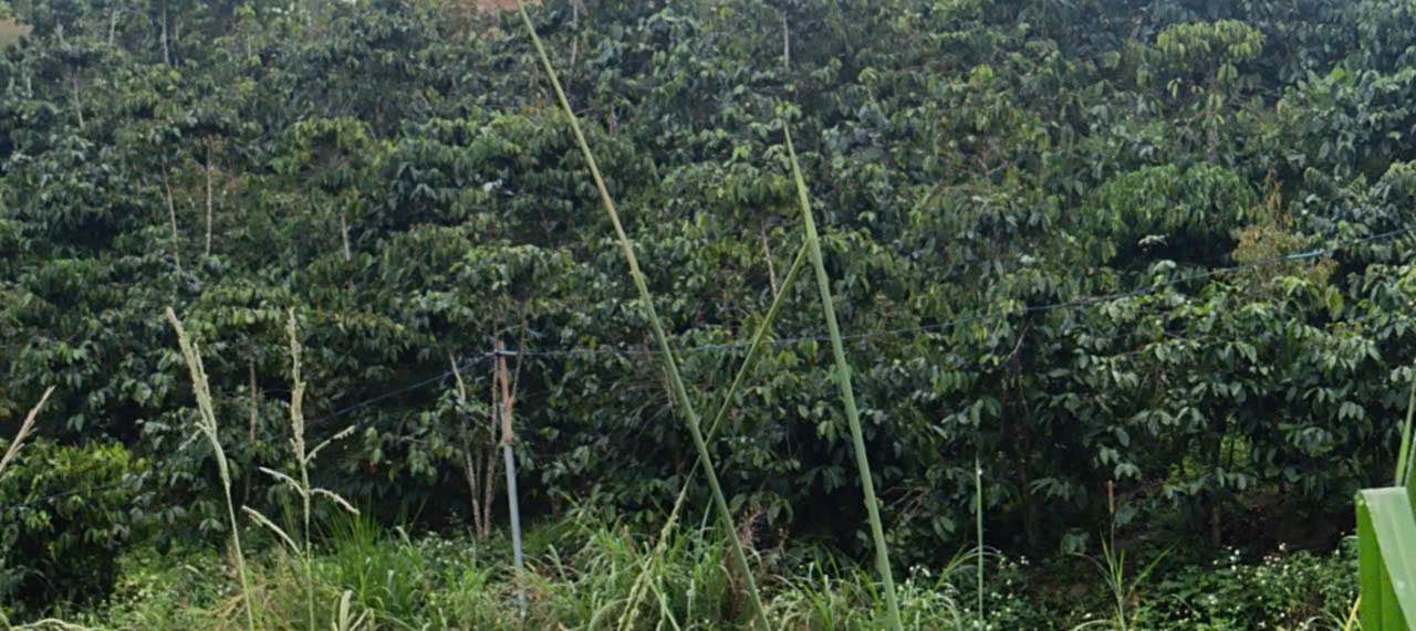 Đất Nền Bảo Lâm 5400m² - 1.85 Tỷ, Thổ Cư, Mặt Tiền Đường Pêtông