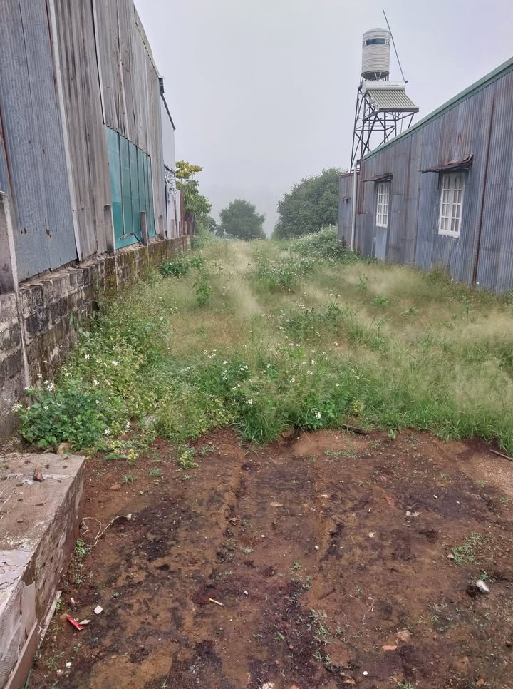 Đất nền Lộc Châu 420m² - Pháp lý rõ ràng, sổ đỏ sẵn sàng!